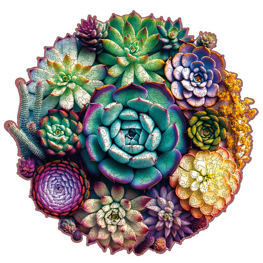 Succulent World