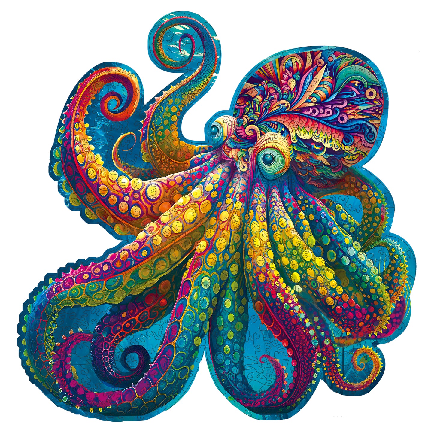 Octopus King