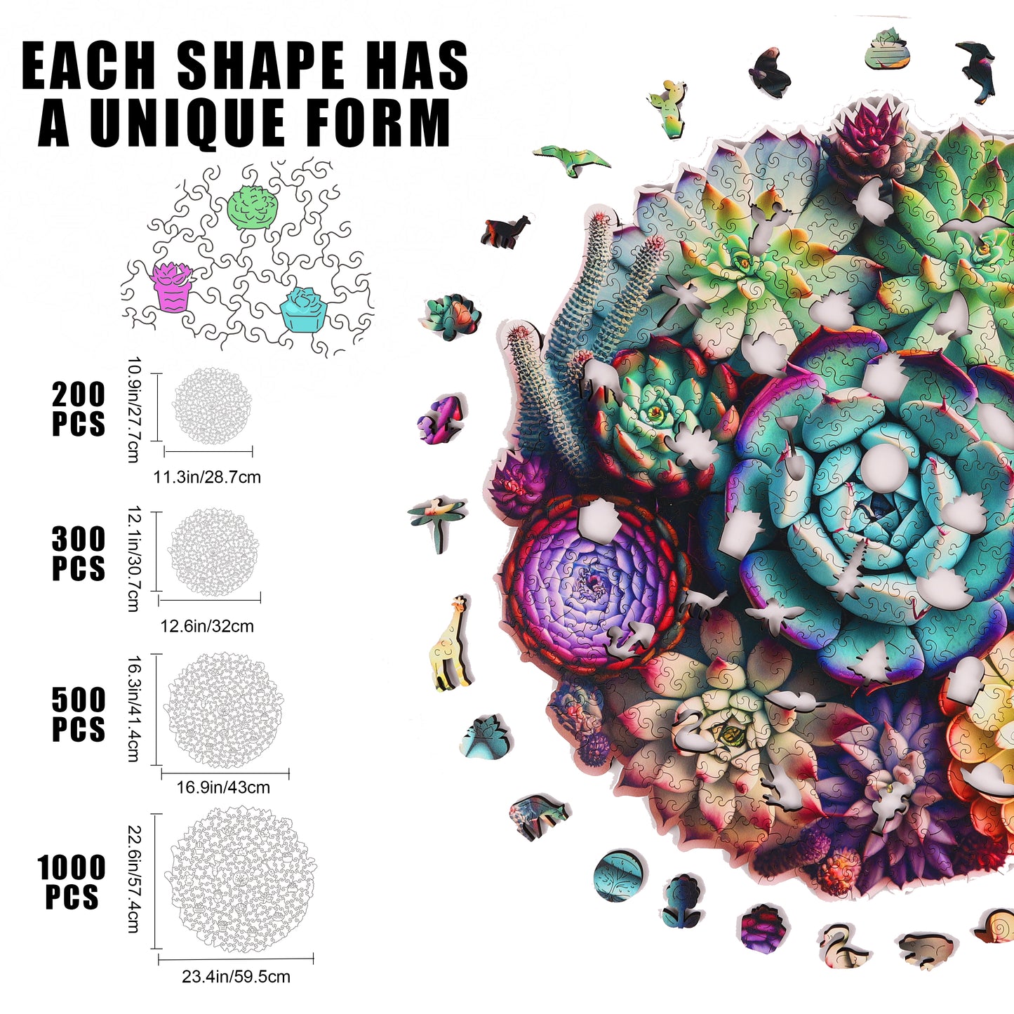 Succulent World