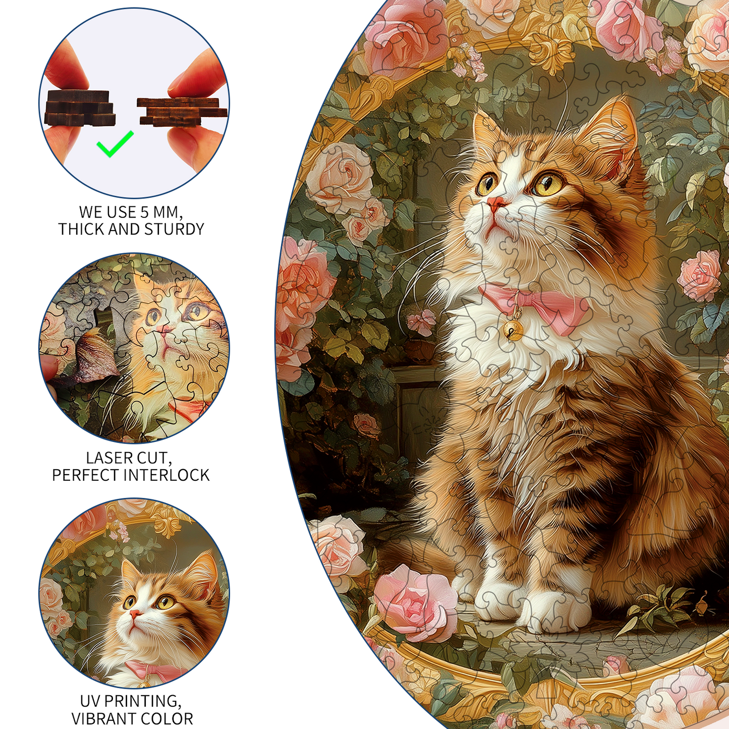 Rosy Kitty